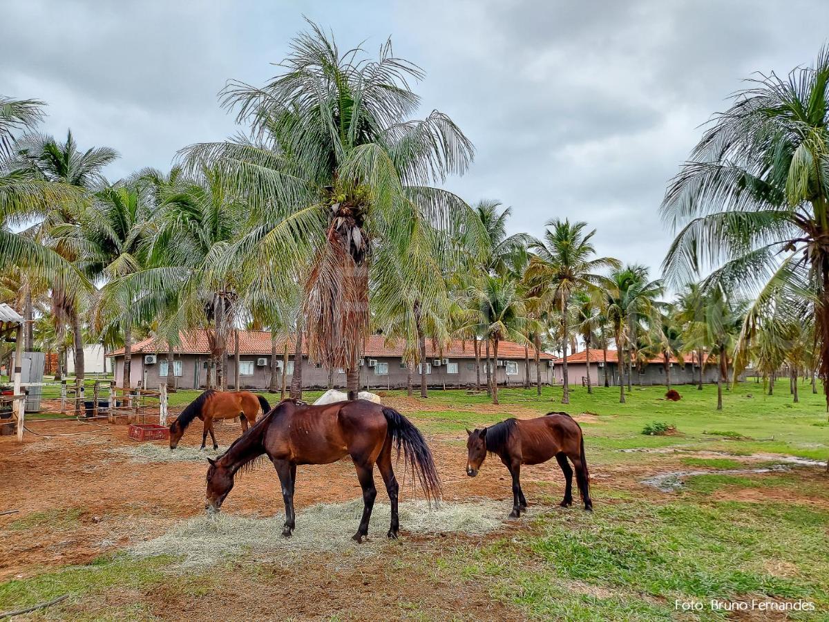 Campo Belo Resort Presidente Prudente Ngoại thất bức ảnh